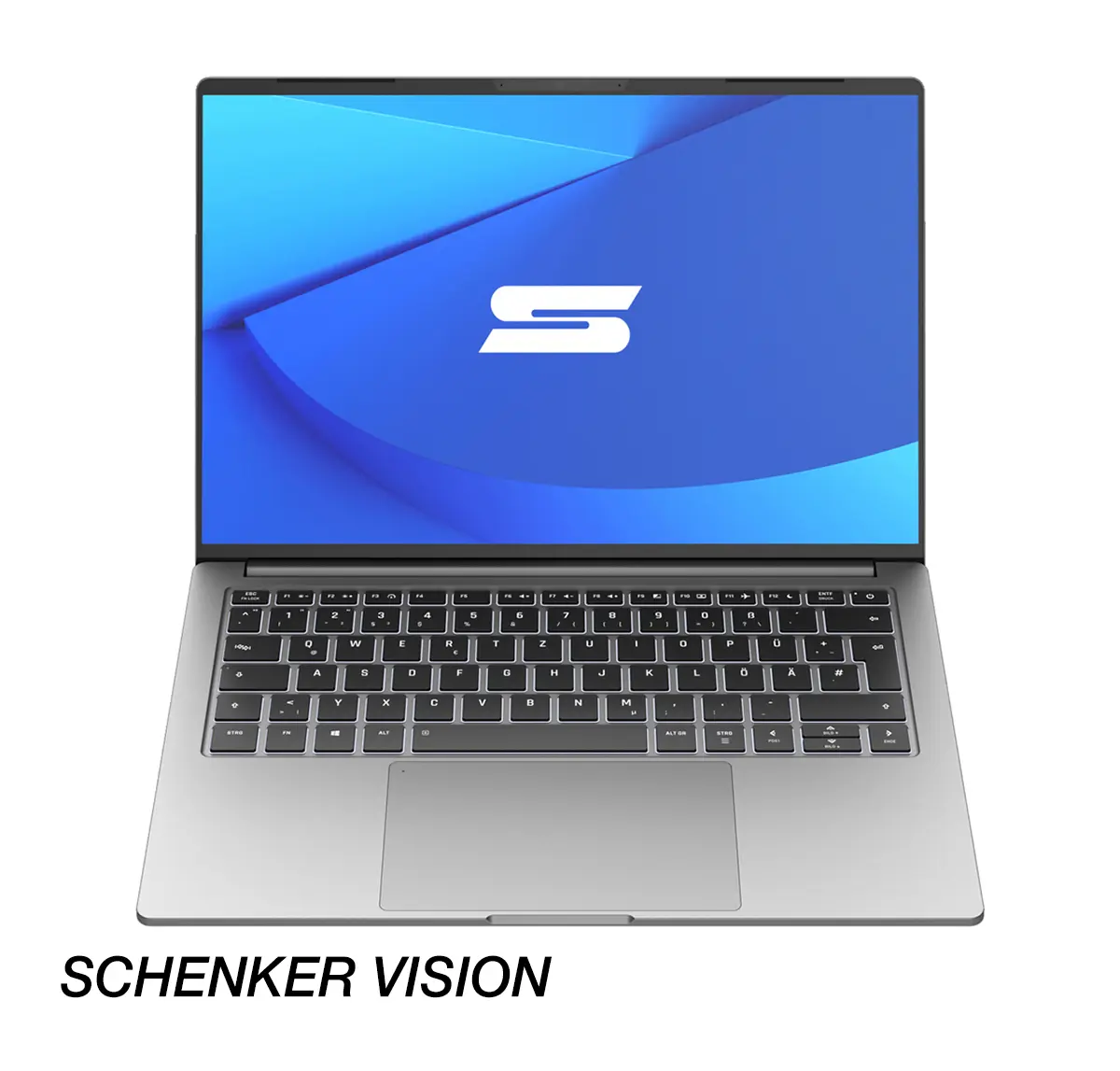 schenkervision